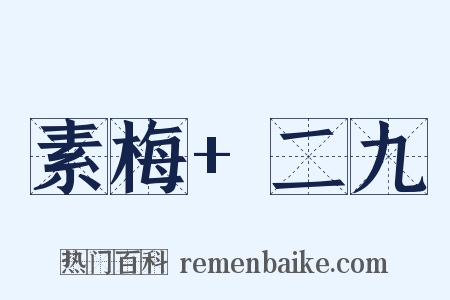 素梅+二九是什么意思的图片